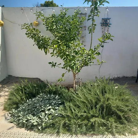 Story Holiday home *